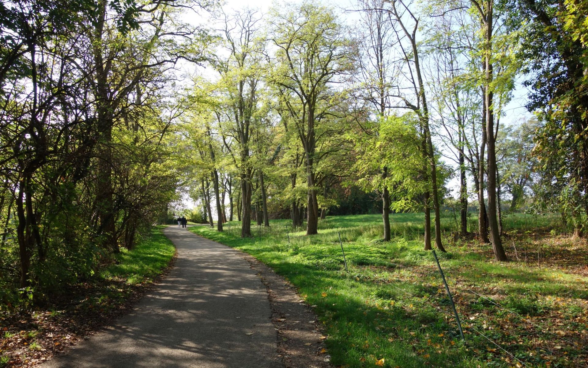 Mittelhausbergen : Coteaux de Hausbergen